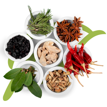 Produtos Naturais