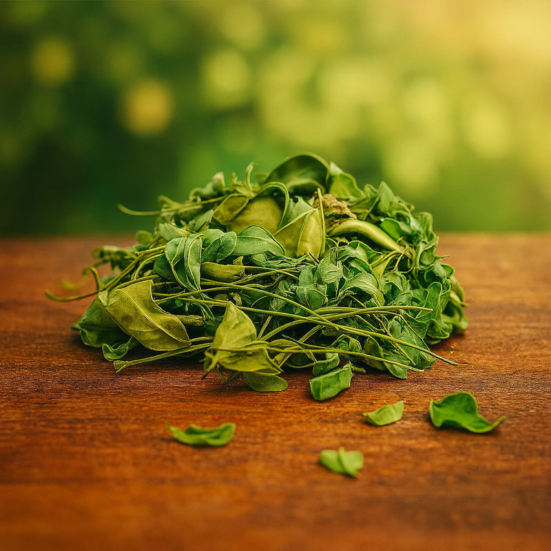 Chá de Moringa