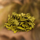 Chá de Espinheira Santa