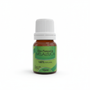 Óleo Essencial de Melaleuca - Saúde da Terra 10ml