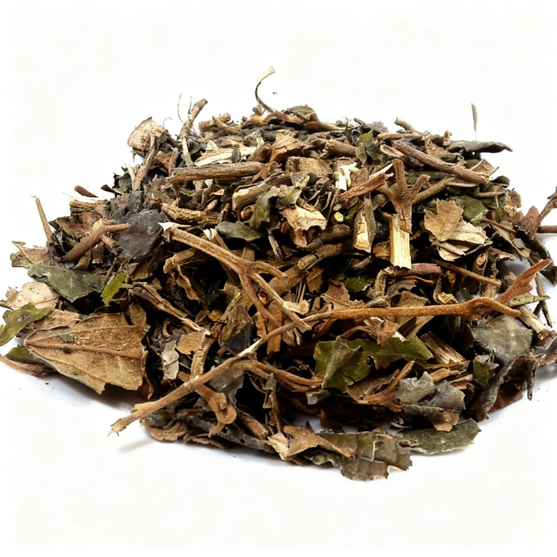 Canela de Velho