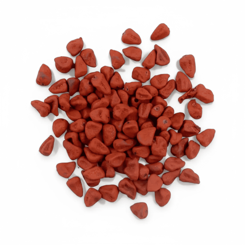 Semente de Urucum