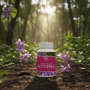 Semente de Sucupira 60 Cápsulas