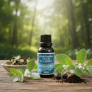 Extrato Concentrado de Erva Baleeira - 30ml