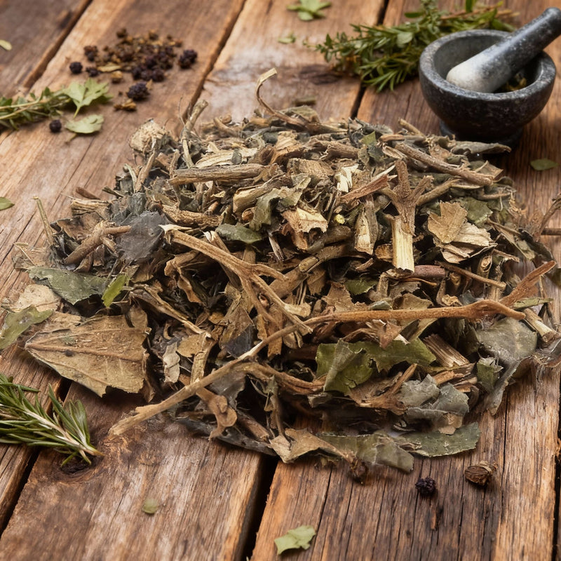 Canela de Velho