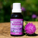 Extrato Concentrado de Cardo Mariano - 30ml