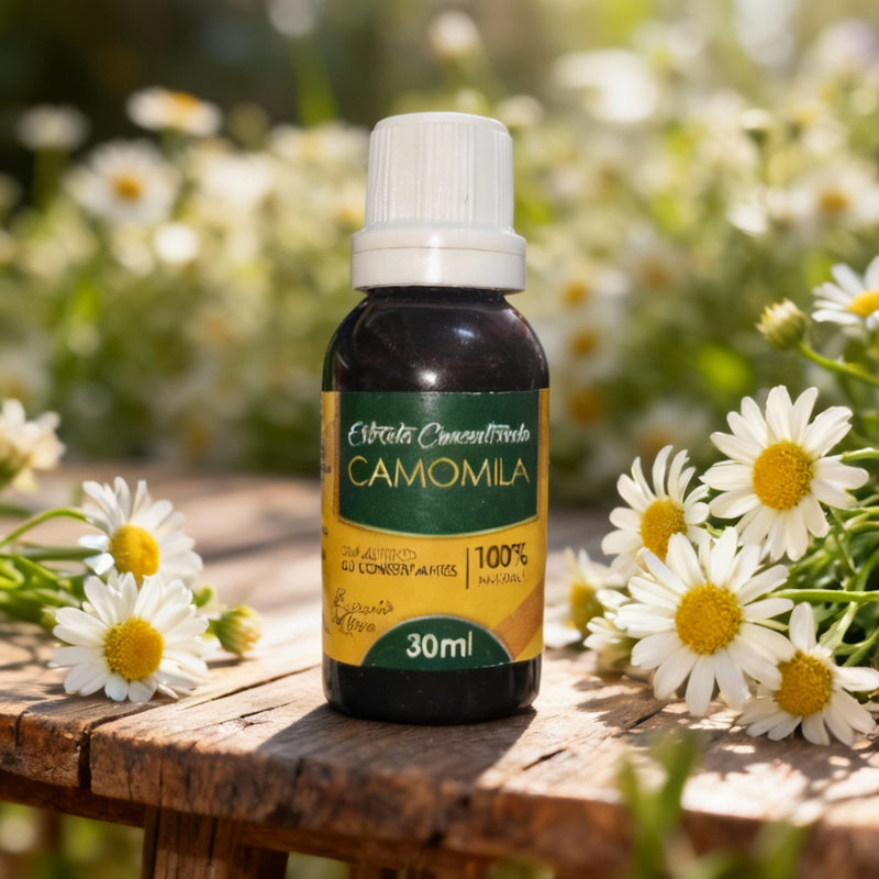 Extrato Concentrado de Camomila - 30ml