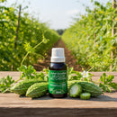 Extrato Concentrado de Melão São Caetano - 30ml