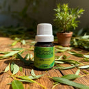 Óleo Essencial de Melaleuca - Saúde da Terra 10ml