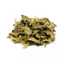 Chá de Espinheira Santa